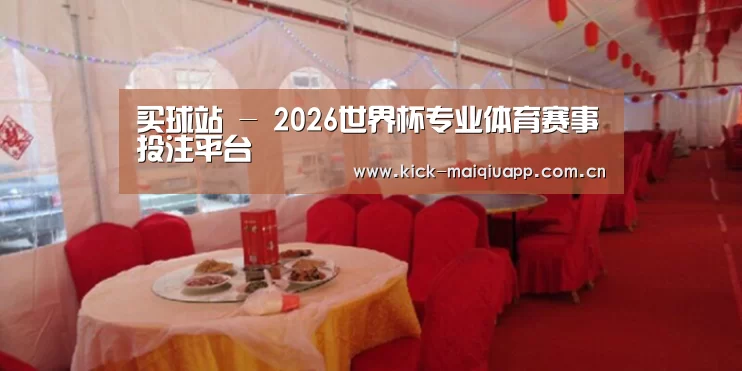 案例标题二